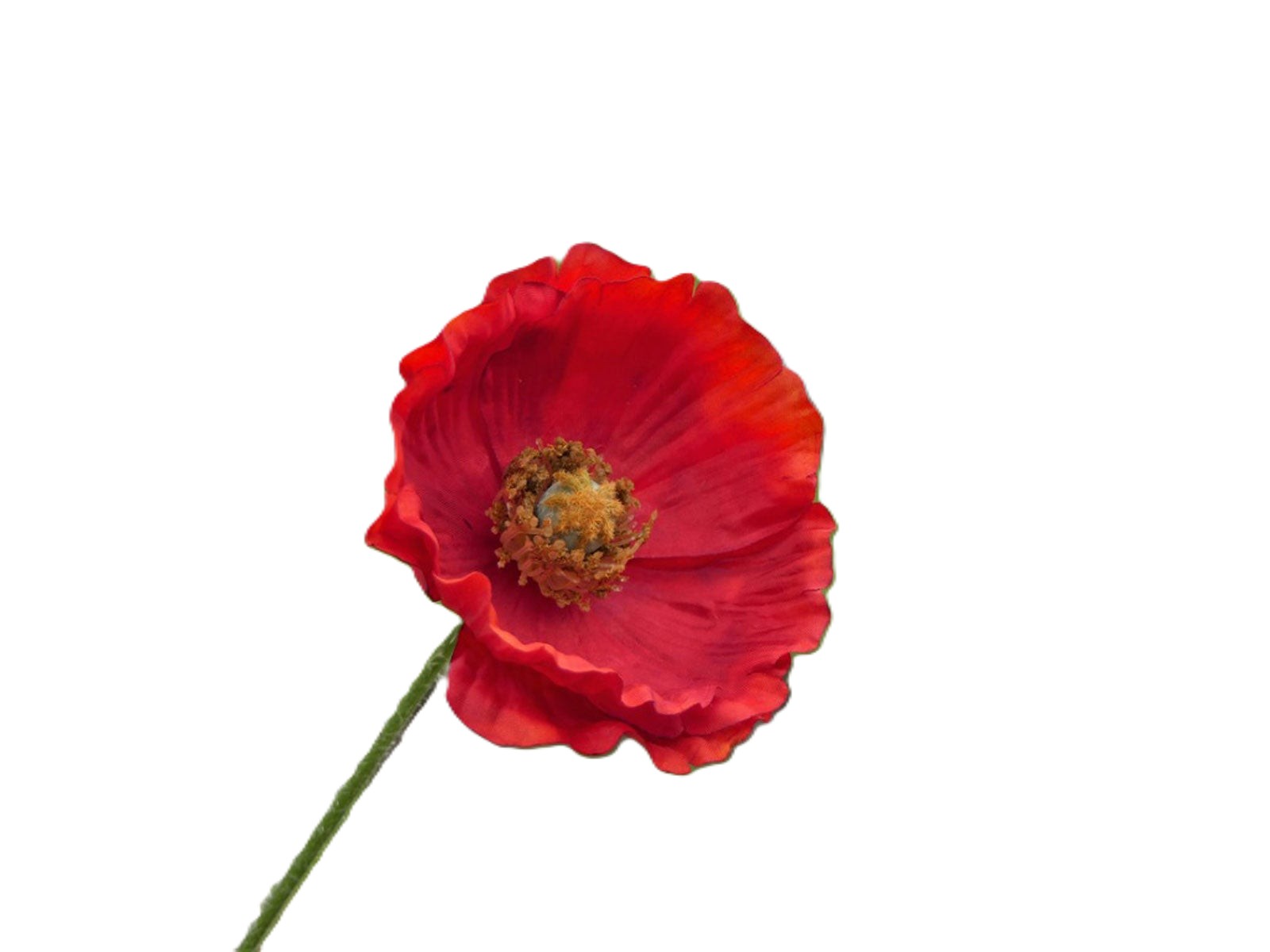 500 Poppies Project